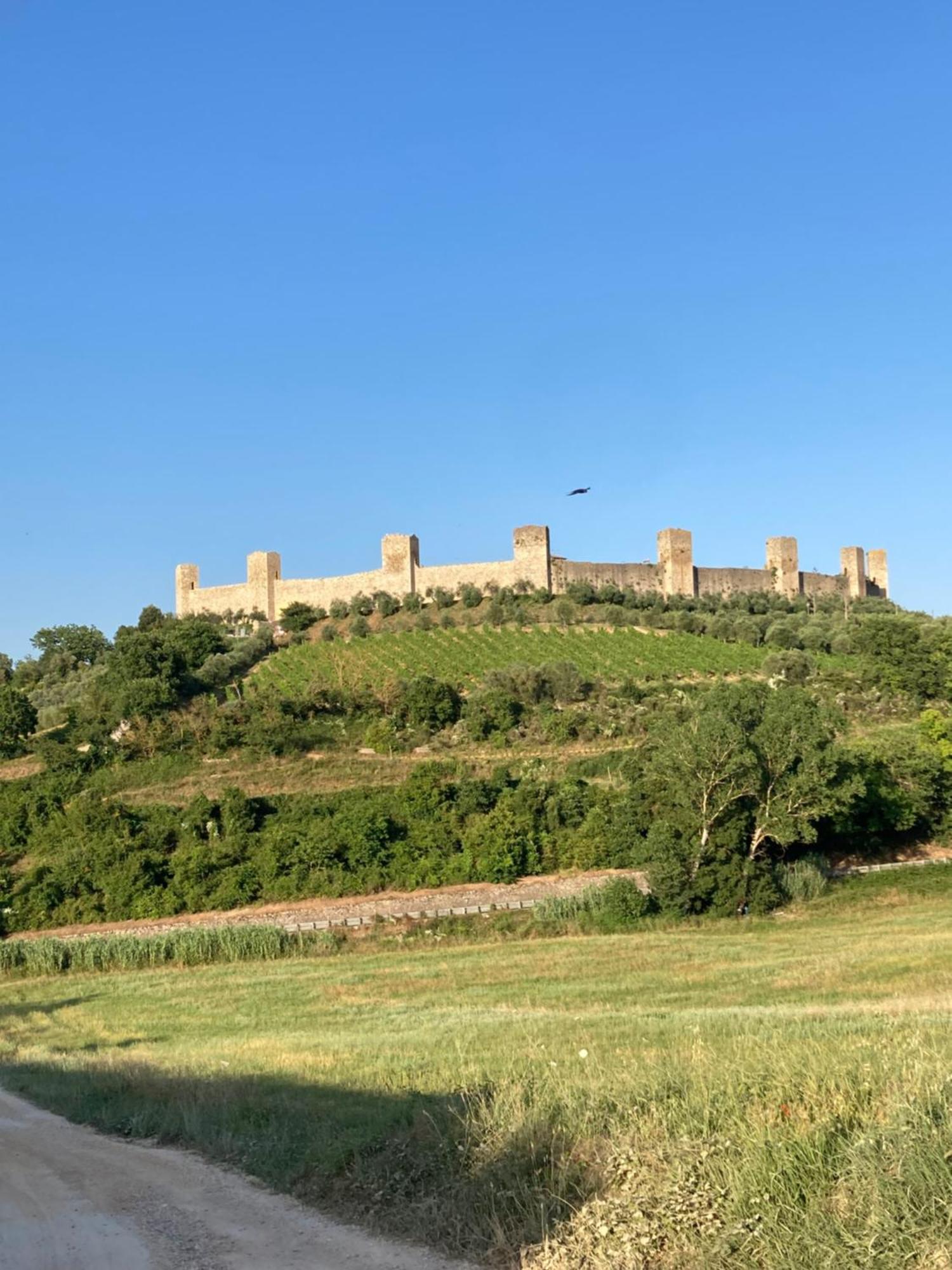 La Sulla Francigena